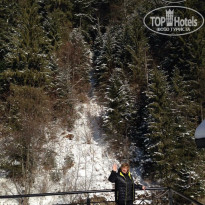 фото из отзыва ID 1141461