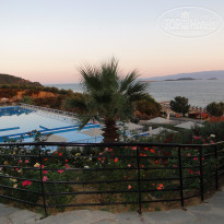 фото из отзыва ID 1141481