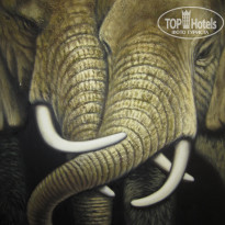 фото из отзыва ID 1141547