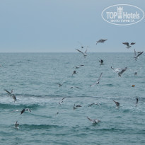 фото из отзыва ID 1141576