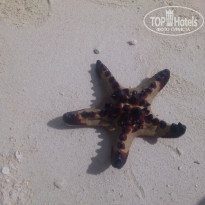 фото из отзыва ID 1141615