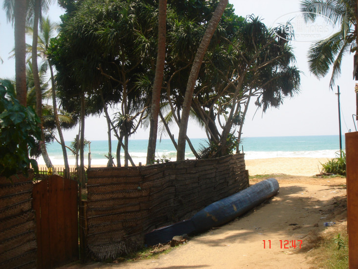 New photos from tourists Hikkaduwa Blue Ocean