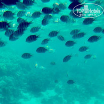 фото из отзыва ID 1141767