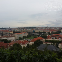 фото из отзыва ID 1141886