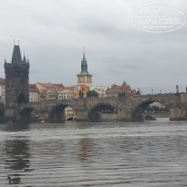 фото из отзыва ID 1141886