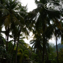 фото из отзыва ID 1141904