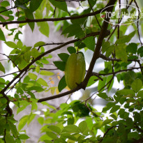 фото из отзыва ID 1141904