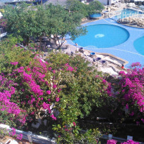 фото из отзыва ID 1141989