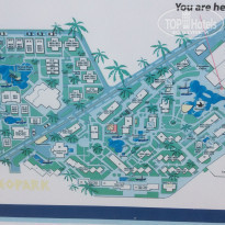 фото из отзыва ID 1142051