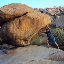 фото из отзыва ID 1142146