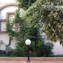 фото из отзыва ID 1142241