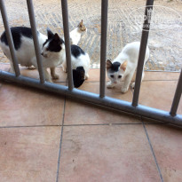 фото из отзыва ID 1142241