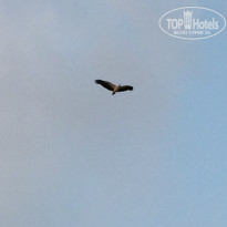 фото из отзыва ID 1142498