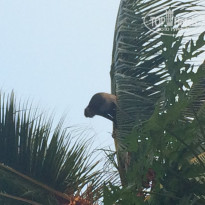 фото из отзыва ID 1142498