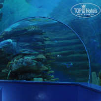 фото из отзыва ID 1142552