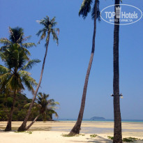 фото из отзыва ID 1142640