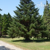 фото из отзыва ID 1142789