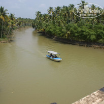 фото из отзыва ID 1142880