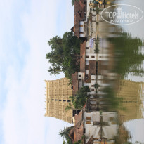 фото из отзыва ID 1142880