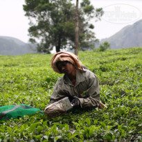 фото из отзыва ID 1142880