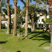 фото из отзыва ID 1142896