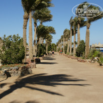 фото из отзыва ID 1142896