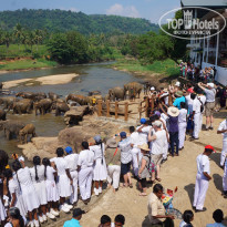 фото из отзыва ID 1142937