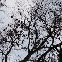 фото из отзыва ID 1142937