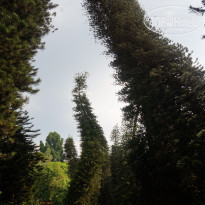 фото из отзыва ID 1142937