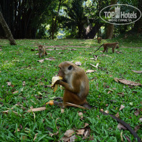 фото из отзыва ID 1142937