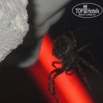 фото из отзыва ID 1143840