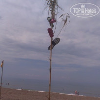 фото из отзыва ID 1144014