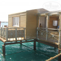 фото из отзыва ID 1144044