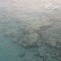 фото из отзыва ID 1144044