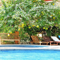 фото из отзыва ID 1144061