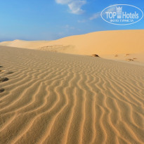 фото из отзыва ID 1144061