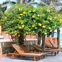 фото из отзыва ID 1144061