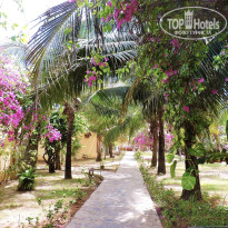 фото из отзыва ID 1144061