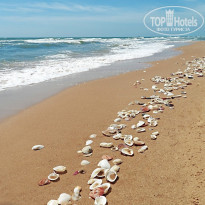 фото из отзыва ID 1144061