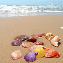 фото из отзыва ID 1144061