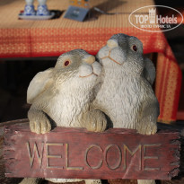 фото из отзыва ID 1144095