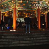 фото из отзыва ID 1144311