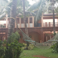 фото из отзыва ID 1144326