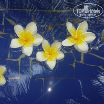 фото из отзыва ID 1144326