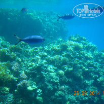 фото из отзыва ID 1144356