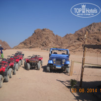 фото из отзыва ID 1144356