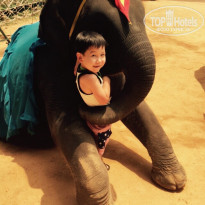 фото из отзыва ID 1144338