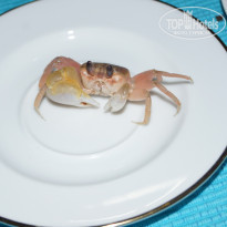 фото из отзыва ID 1144409