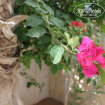 фото из отзыва ID 1144609