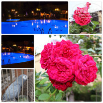 фото из отзыва ID 1144683